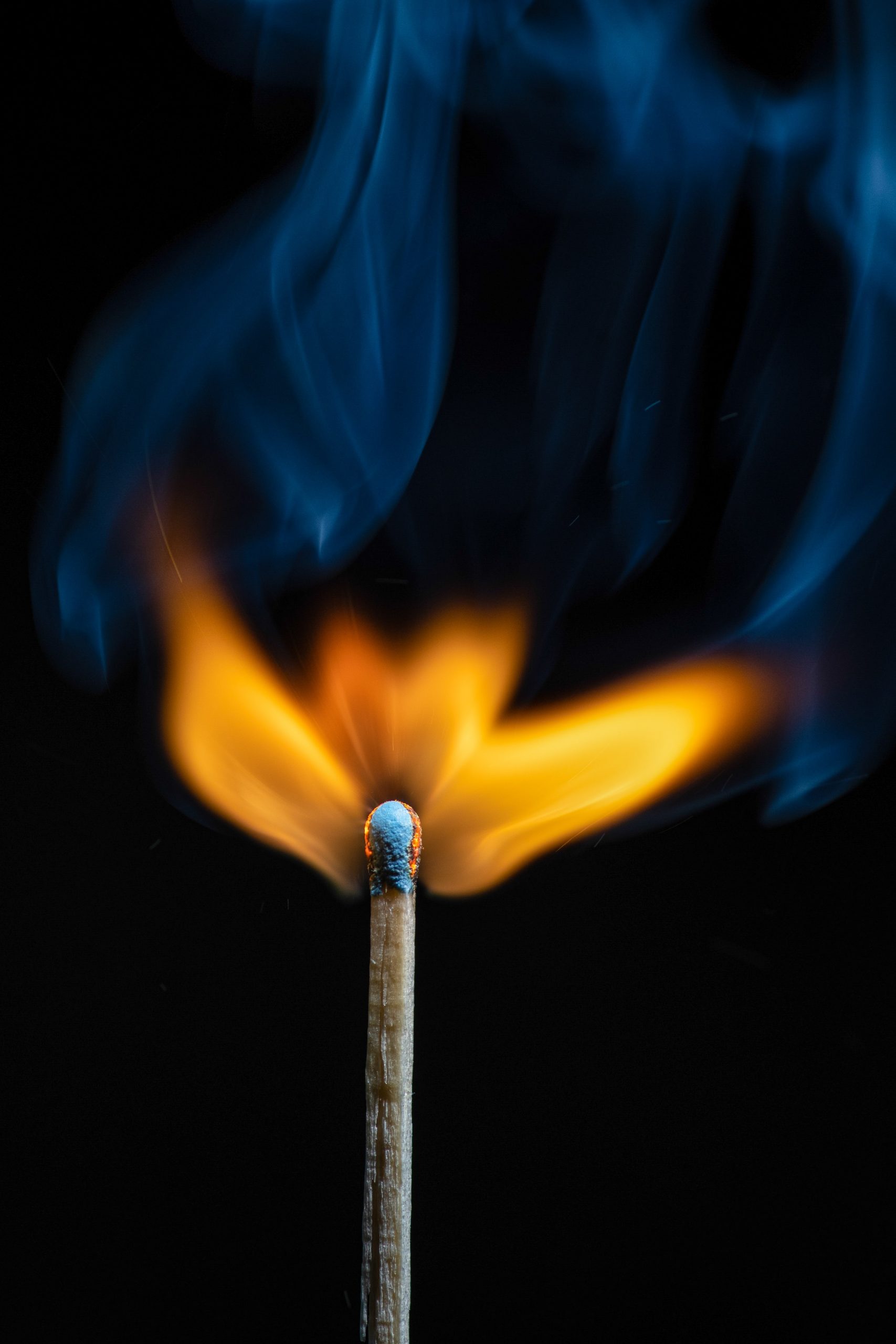 Photo by Elia Mazzaro on Unsplash Photo by Elia Mazzaro on Unsplash